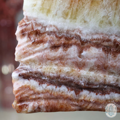 Polished Pork Stone (Red Banded Calcite) Specimen Slab