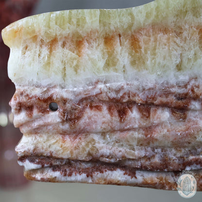 Polished Pork Stone (Red Banded Calcite) Specimen Slab