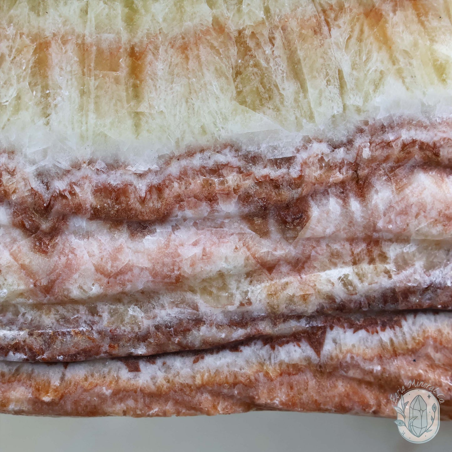 Polished Pork Stone (Red Banded Calcite) Specimen Slab