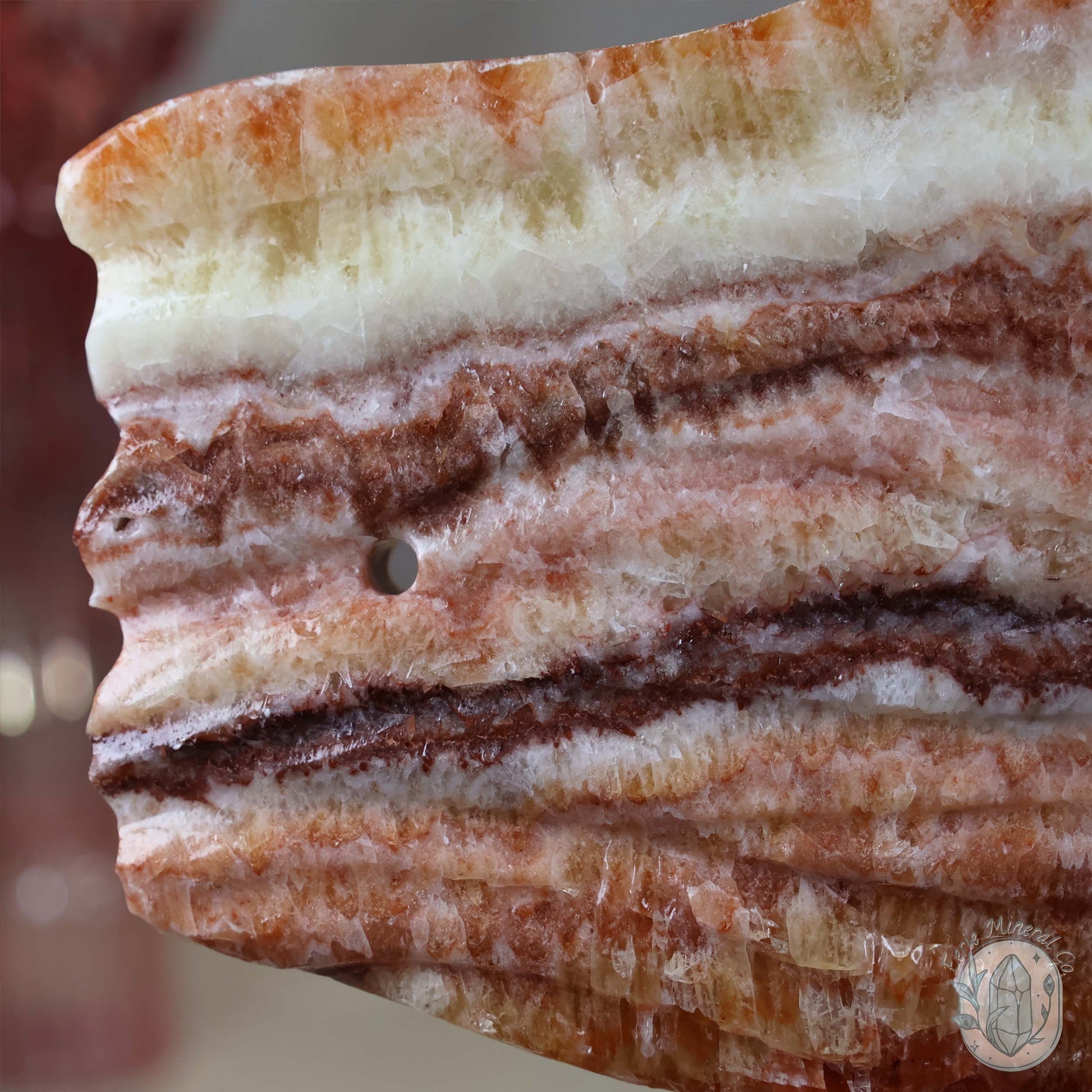 Polished Pork Stone (Red Banded Calcite) Specimen Slab
