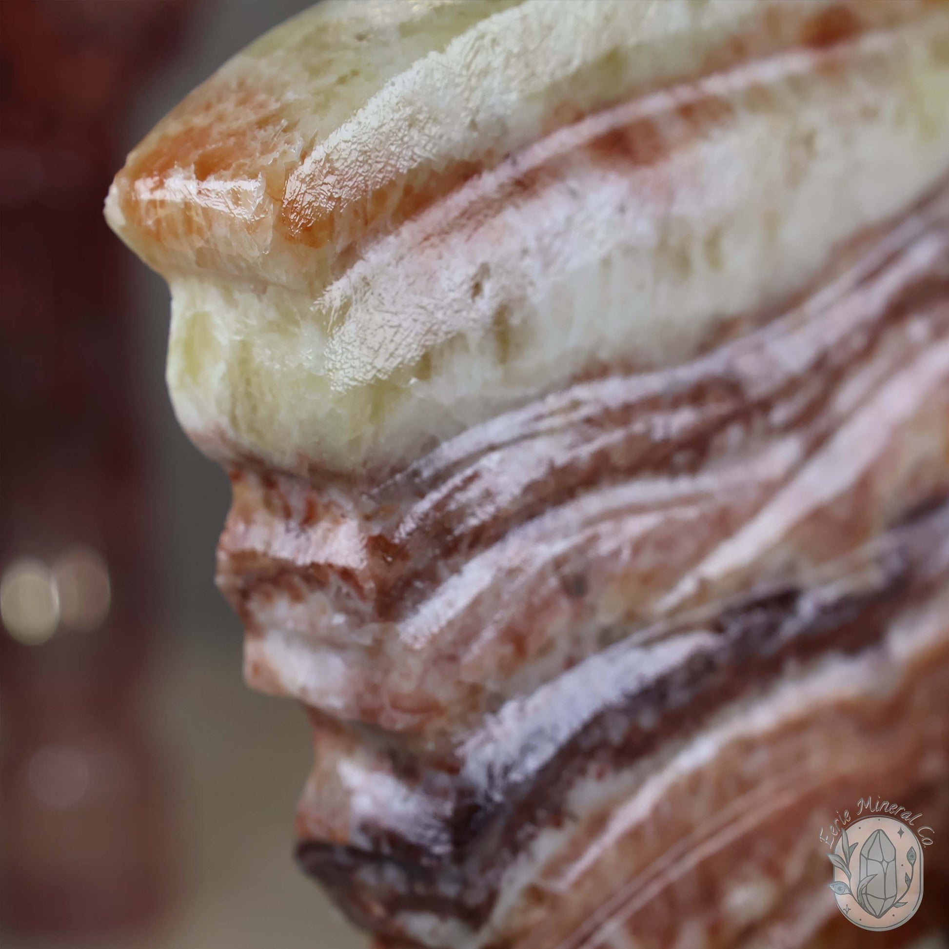 Polished Pork Stone (Red Banded Calcite) Specimen Slab
