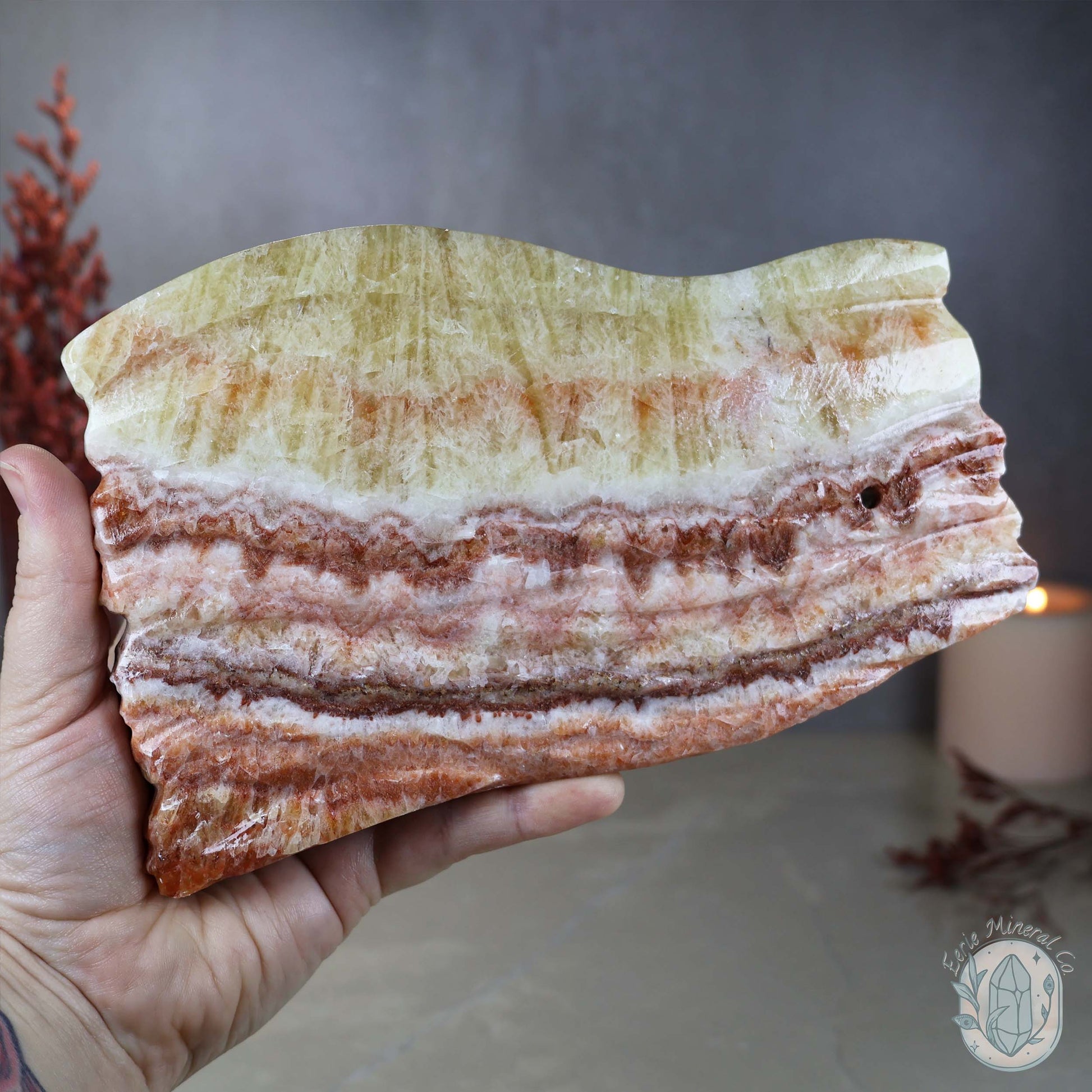 Polished Pork Stone (Red Banded Calcite) Specimen Slab