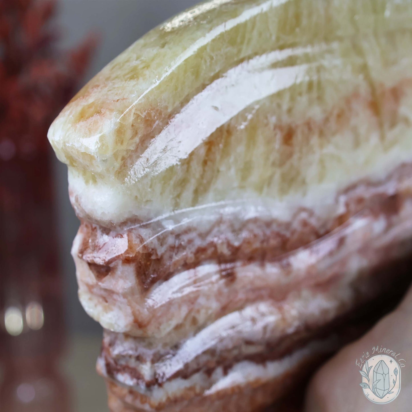 Polished Pork Stone (Red Banded Calcite) Specimen Slab