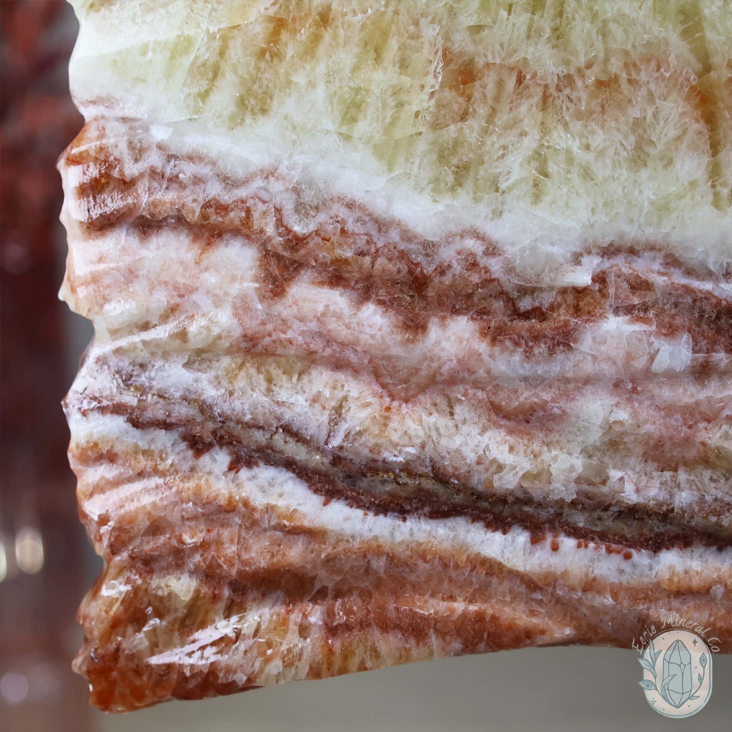 Polished Pork Stone (Red Banded Calcite) Specimen Slab