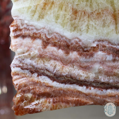Polished Pork Stone (Red Banded Calcite) Specimen Slab