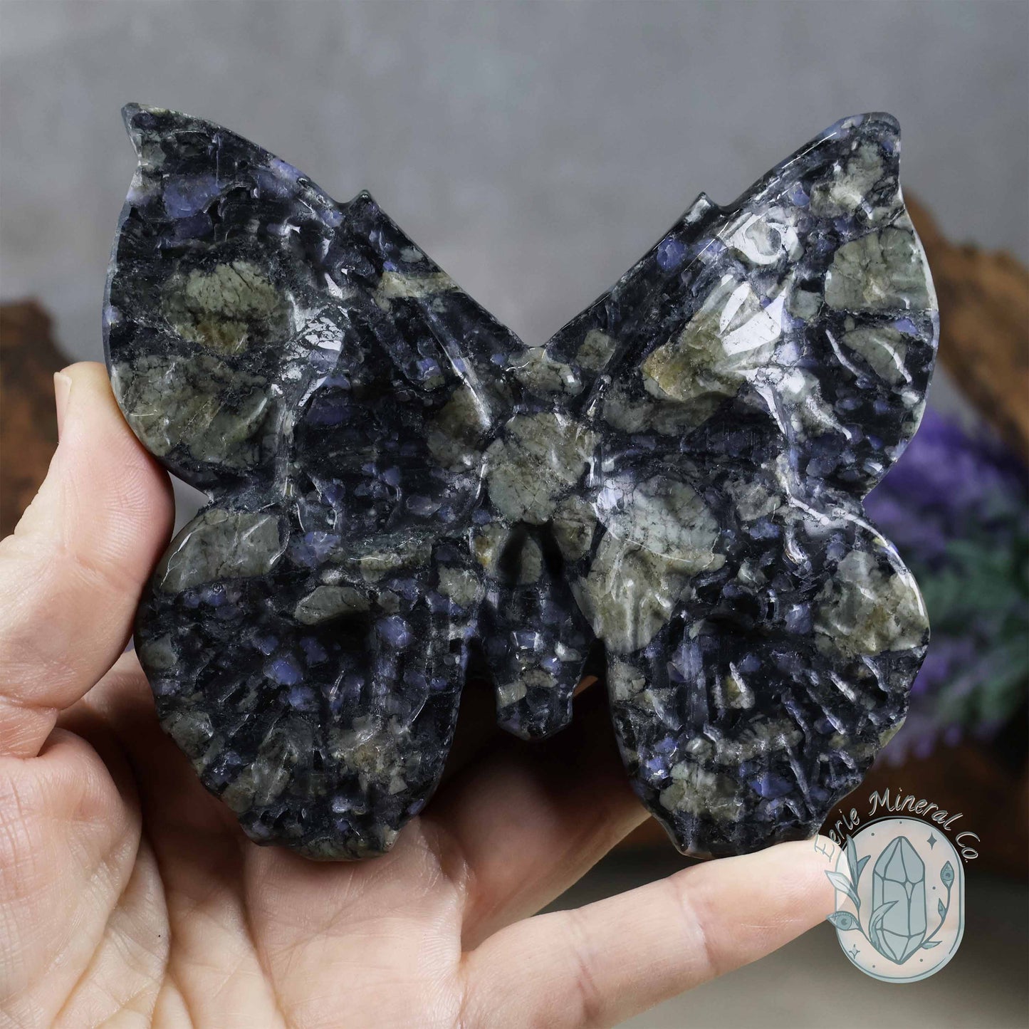 Que Sera Death's-Head Moth Carving