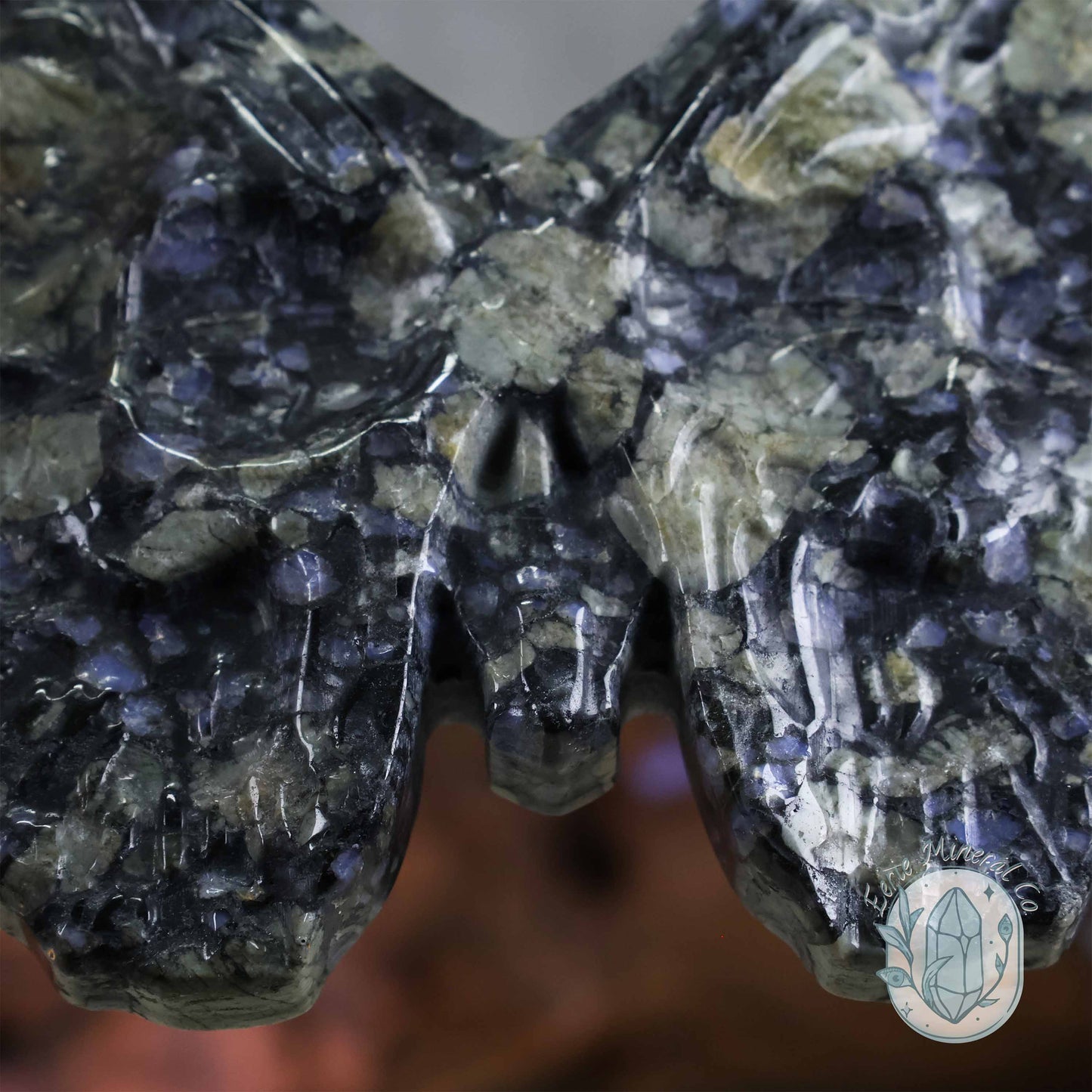 Que Sera Death's-Head Moth Carving