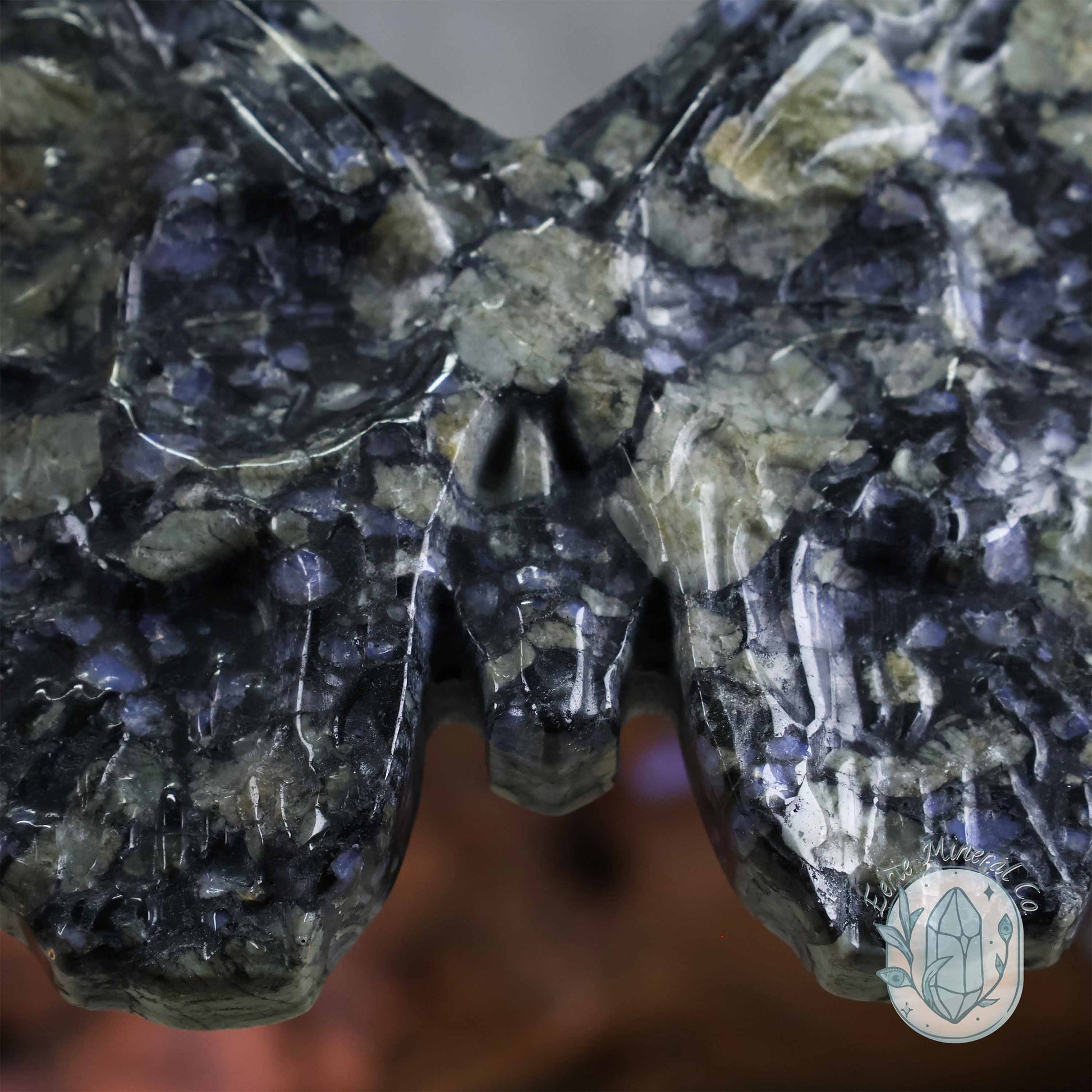 Que Sera Death's-Head Moth Carving