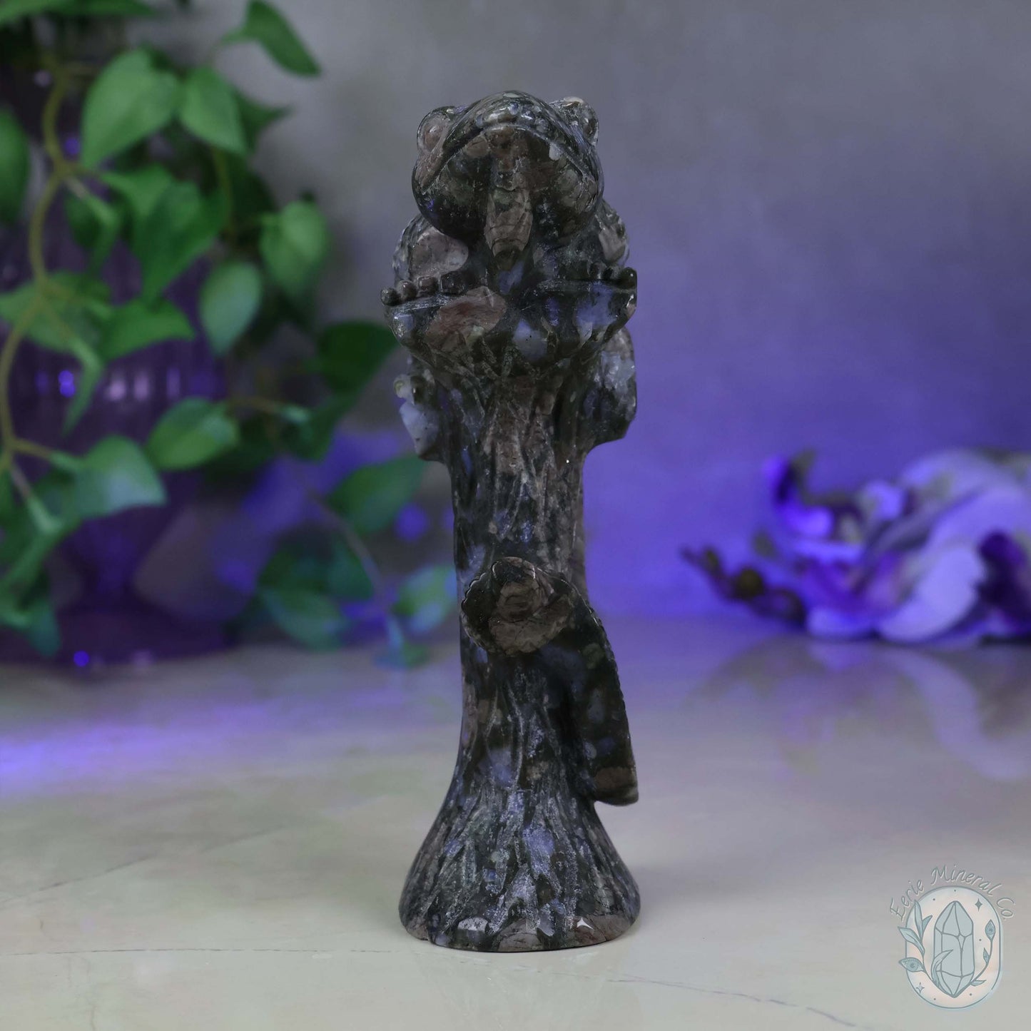 Hand Carved Que Sera Lizard on Tree Branch