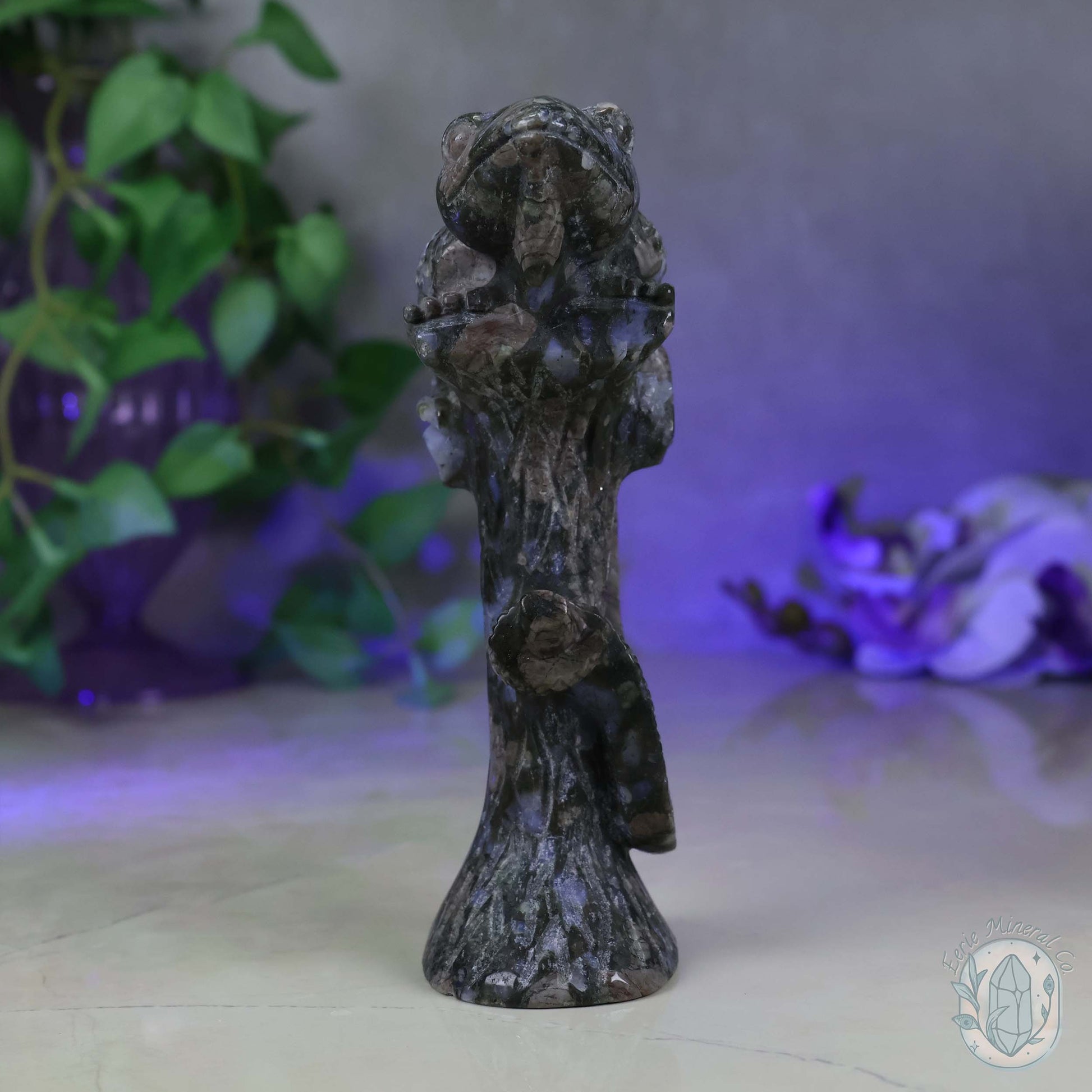 Hand Carved Que Sera Lizard on Tree Branch