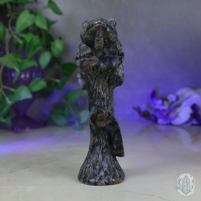 Hand Carved Que Sera Lizard on Tree Branch