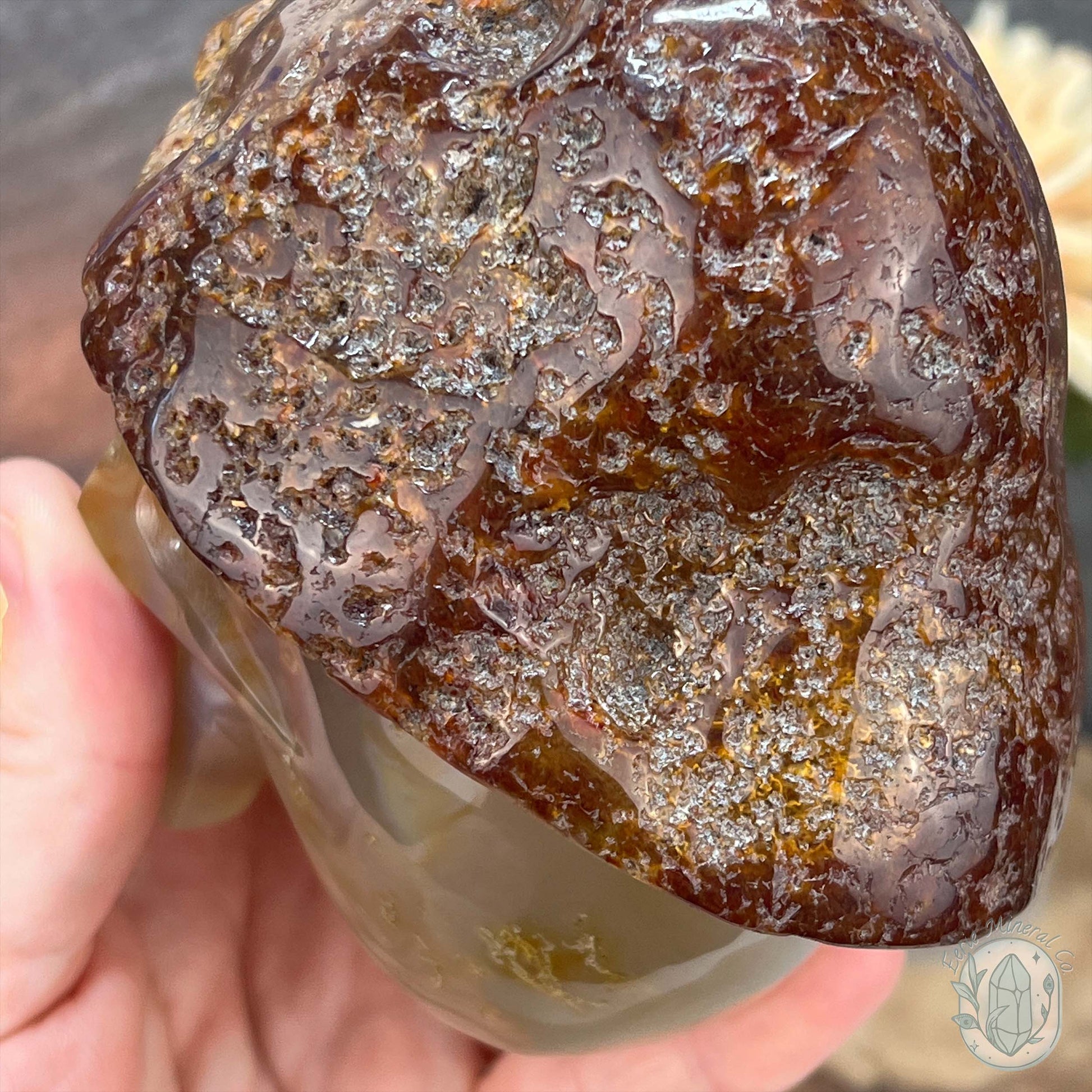 Polished Red Agate Mushroom Head Skull Carving