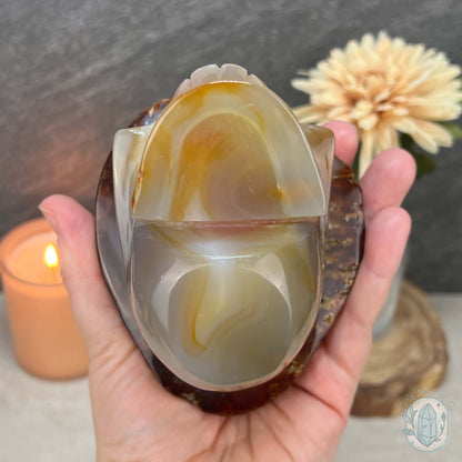 Polished Red Agate Mushroom Head Skull Carving