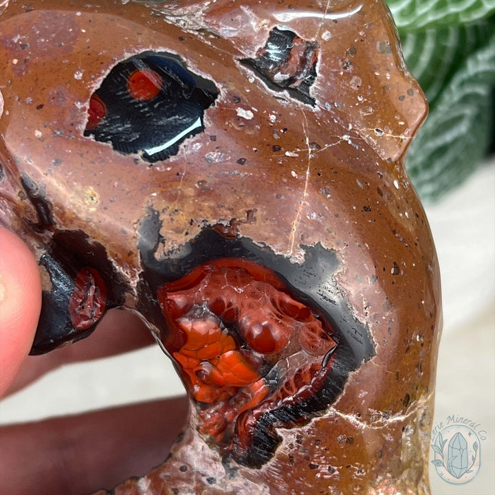 Volcanic Red Fox Botryoidal Agate Dolphin Carving