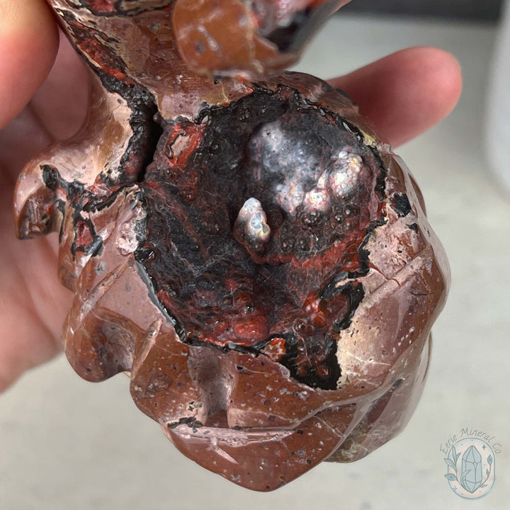 Volcanic Red Fox Botryoidal Agate Dolphin Carving