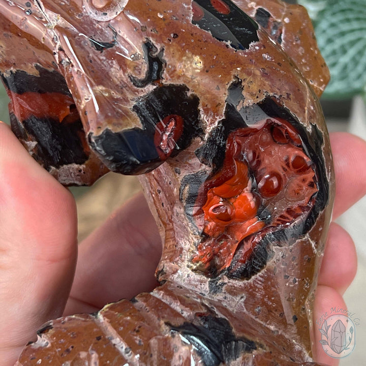 Volcanic Red Fox Botryoidal Agate Dolphin Carving