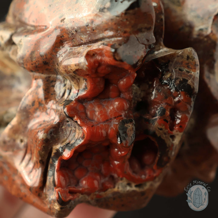 Red Fox Volcanic Agate Dragon Skull Carving