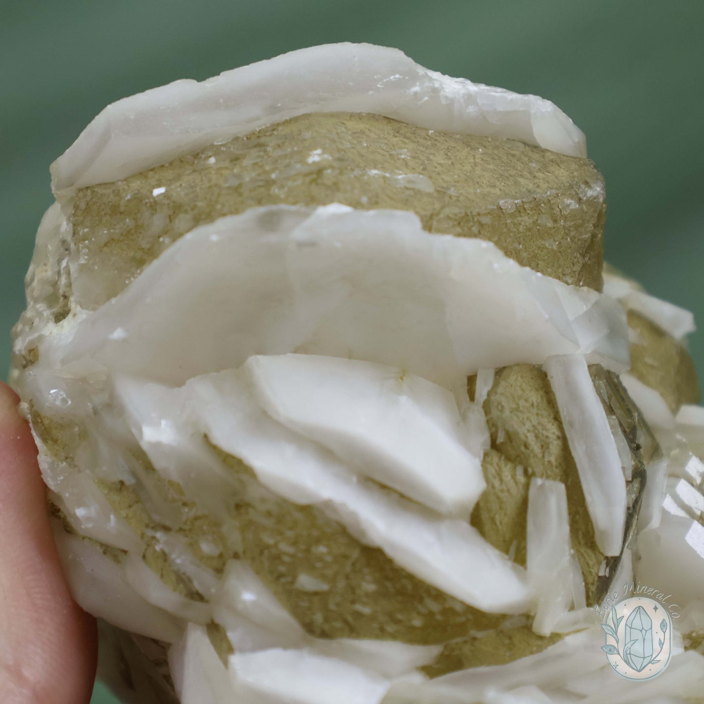 Sandwich Calcite With Siderite "Crystal Cutie"