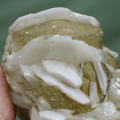Sandwich Calcite With Siderite "Crystal Cutie"