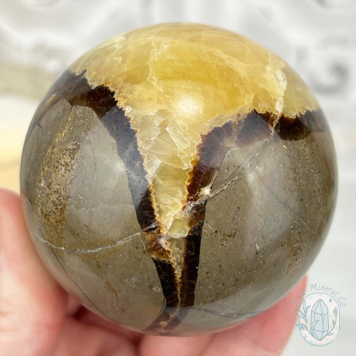 65mm Polished Septarian Sphere