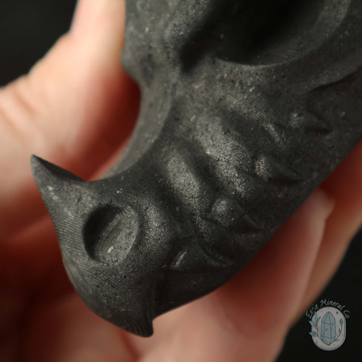 Shungite Dragon Head Carving