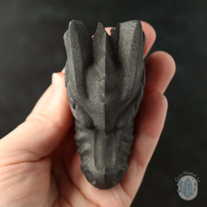 Shungite Dragon Head Carving