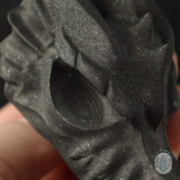 Shungite Dragon Head Carving