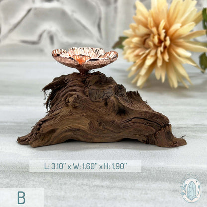 Single Rose Gold Flower Blossom Sphere Holder Driftwood Stand