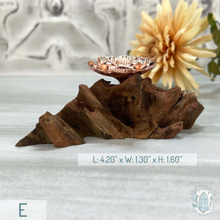 Single Rose Gold Flower Blossom Sphere Holder Driftwood Stand