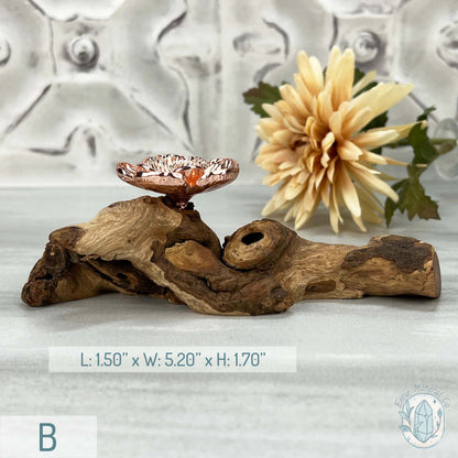 Single Rose Gold Flower Blossom Sphere Holder Driftwood Stand