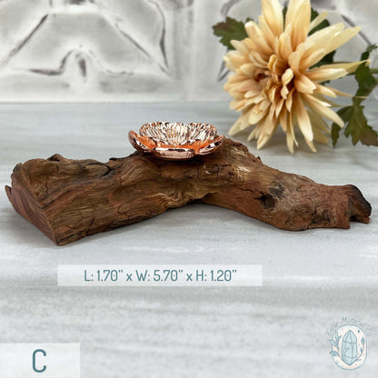 Single Rose Gold Flower Blossom Sphere Holder Driftwood Stand