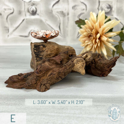 Single Rose Gold Flower Blossom Sphere Holder Driftwood Stand