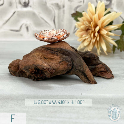 Single Rose Gold Flower Blossom Sphere Holder Driftwood Stand