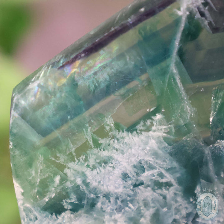 Polished Rainbow Snowflake Feather Slab