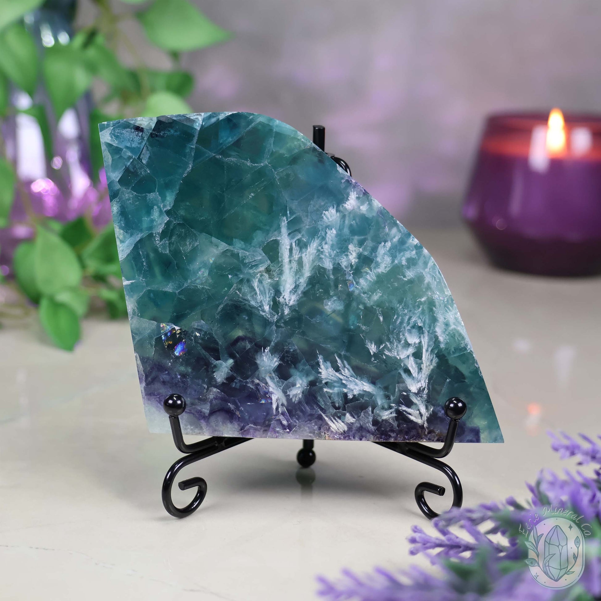 Polished Rainbow Feather Snowflake Fluorite Slab