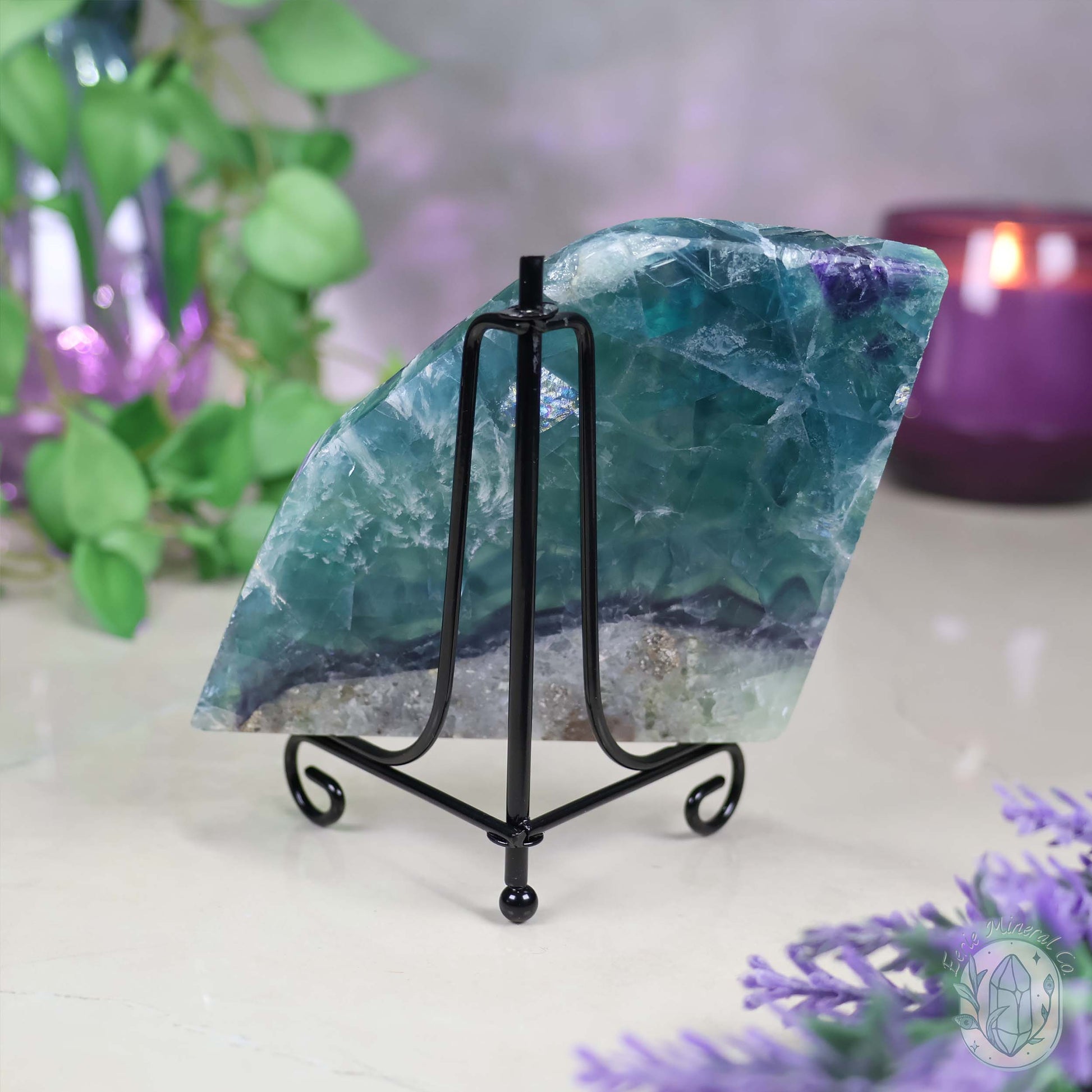 Polished Rainbow Feather Snowflake Fluorite Slab