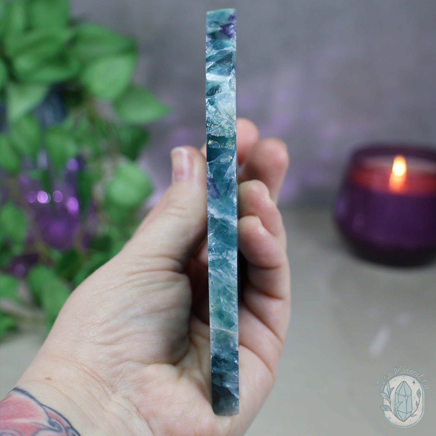 Polished Rainbow Feather Snowflake Fluorite Slab