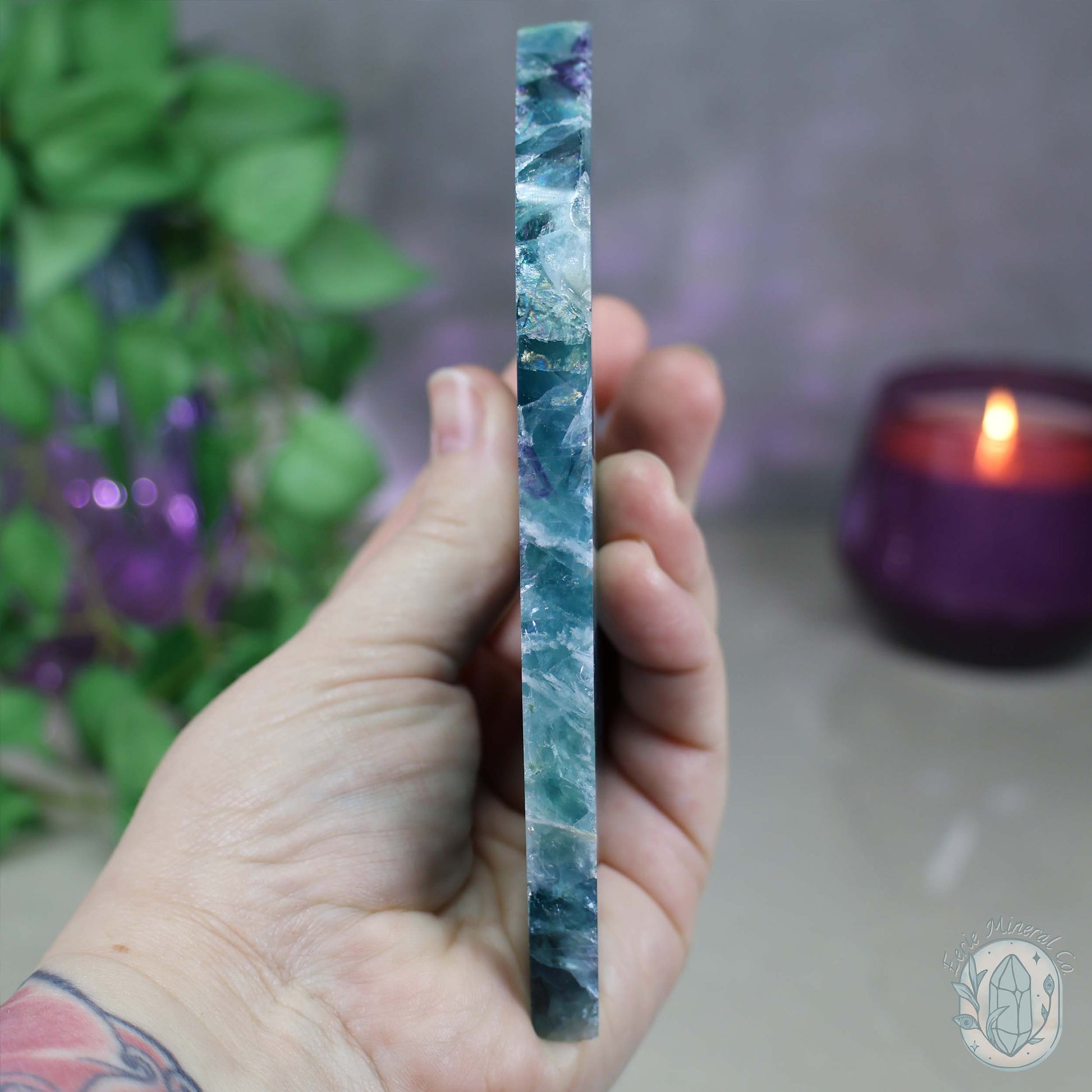 Polished Rainbow Feather Snowflake Fluorite Slab