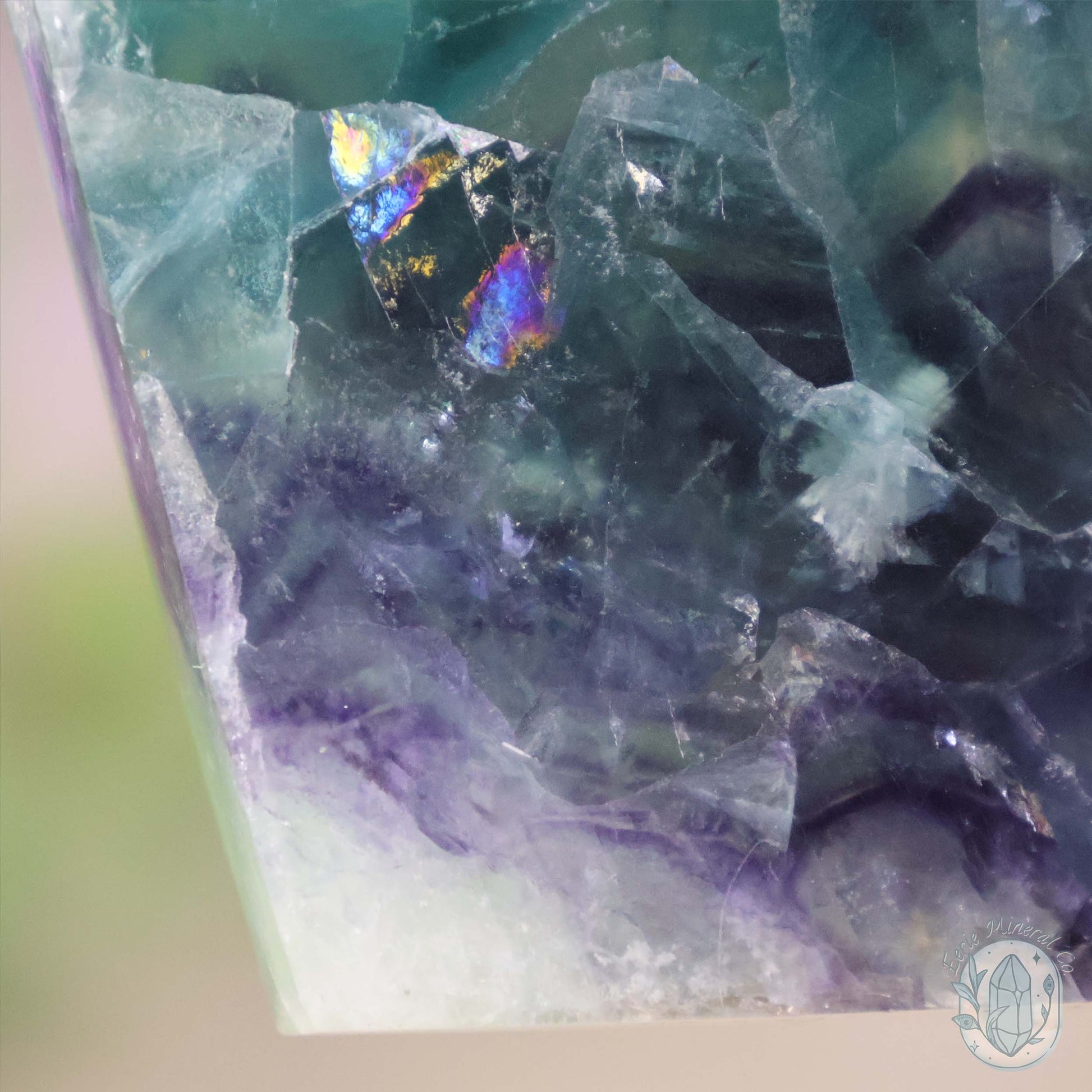 Polished Rainbow Feather Snowflake Fluorite Slab