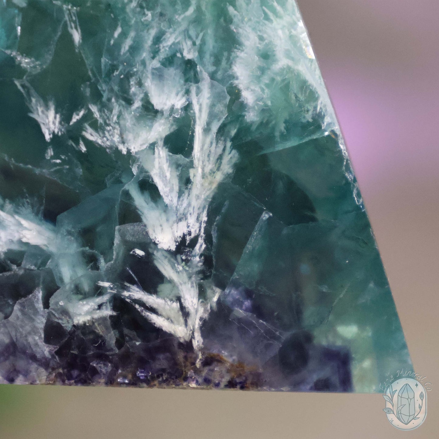 Polished Rainbow Feather Snowflake Fluorite Slab