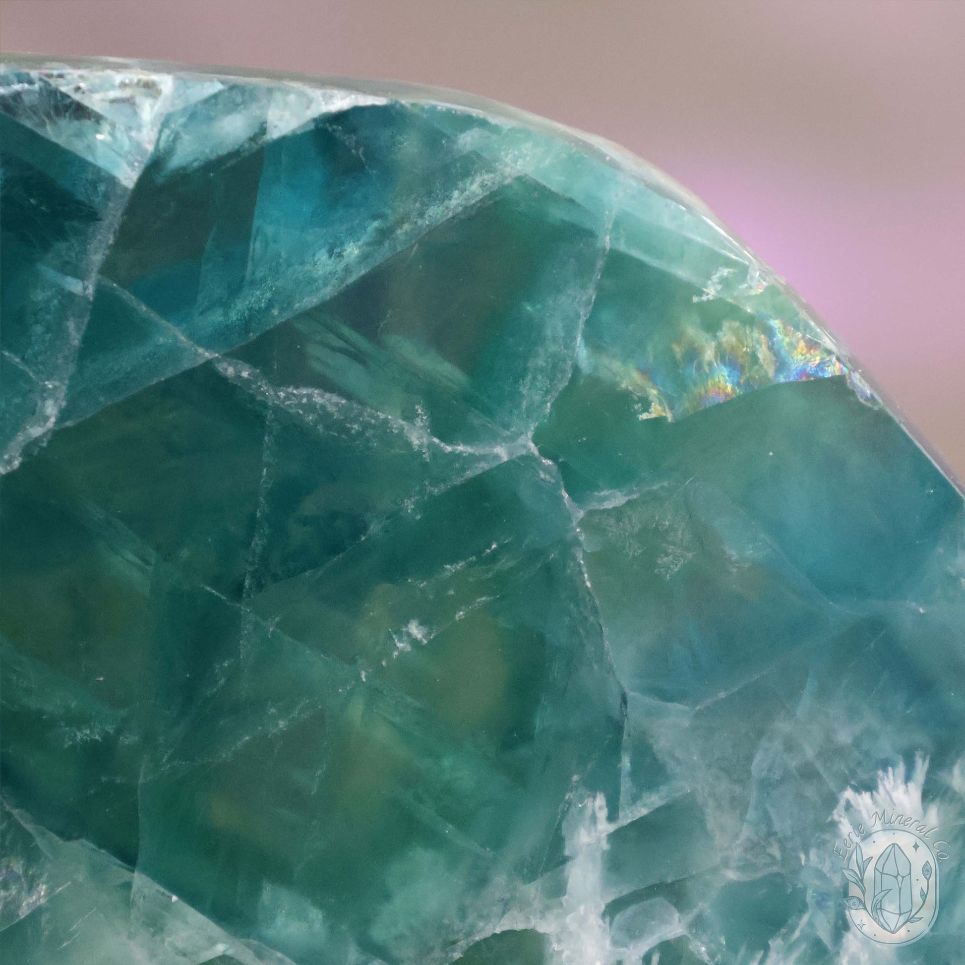 Polished Rainbow Feather Snowflake Fluorite Slab