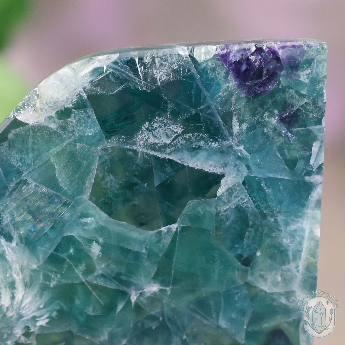 Polished Rainbow Feather Snowflake Fluorite Slab