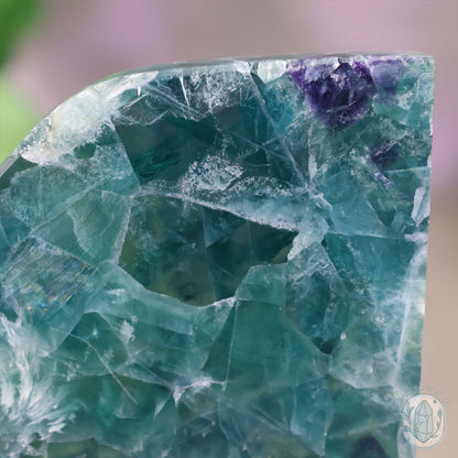 Polished Rainbow Feather Snowflake Fluorite Slab
