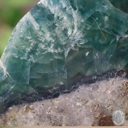 Polished Rainbow Feather Snowflake Fluorite Slab