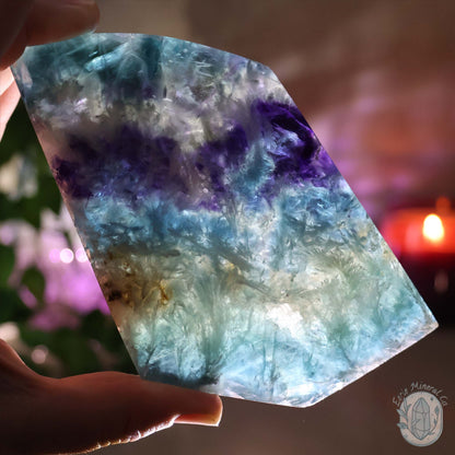  Polished Rainbow Feather Snowflake Fluorite Slab