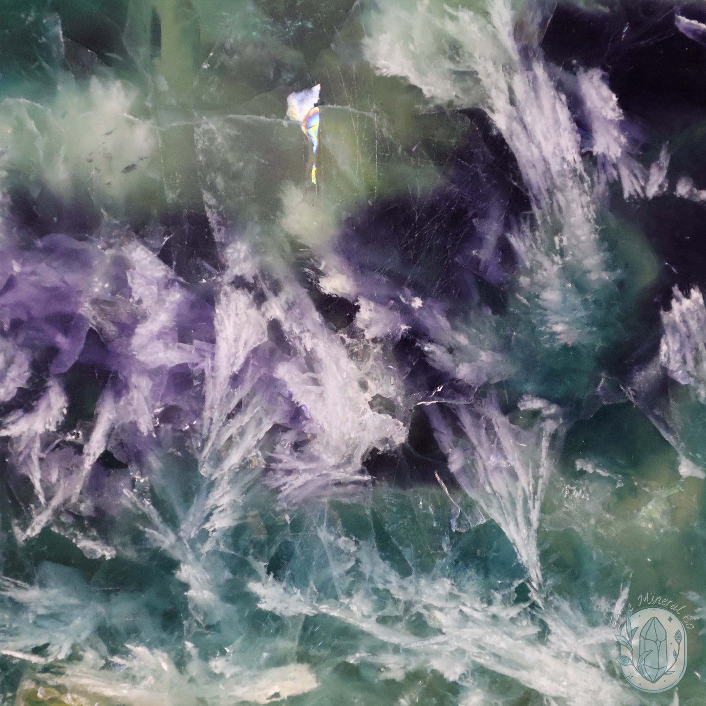  Polished Rainbow Feather Snowflake Fluorite Slab