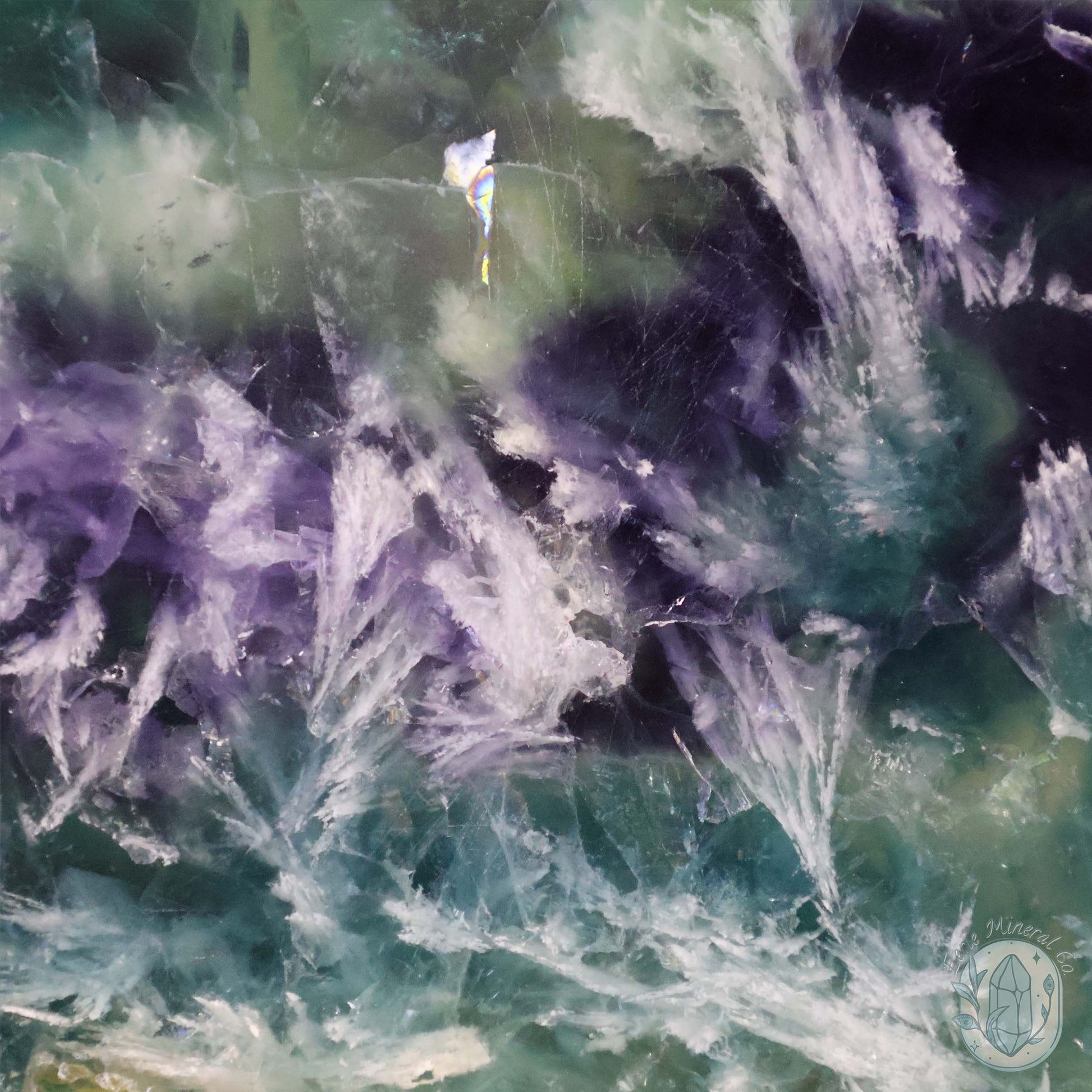  Polished Rainbow Feather Snowflake Fluorite Slab