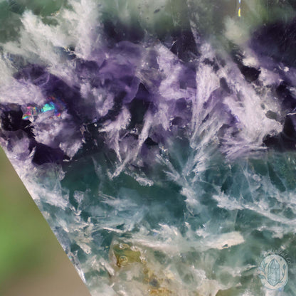  Polished Rainbow Feather Snowflake Fluorite Slab