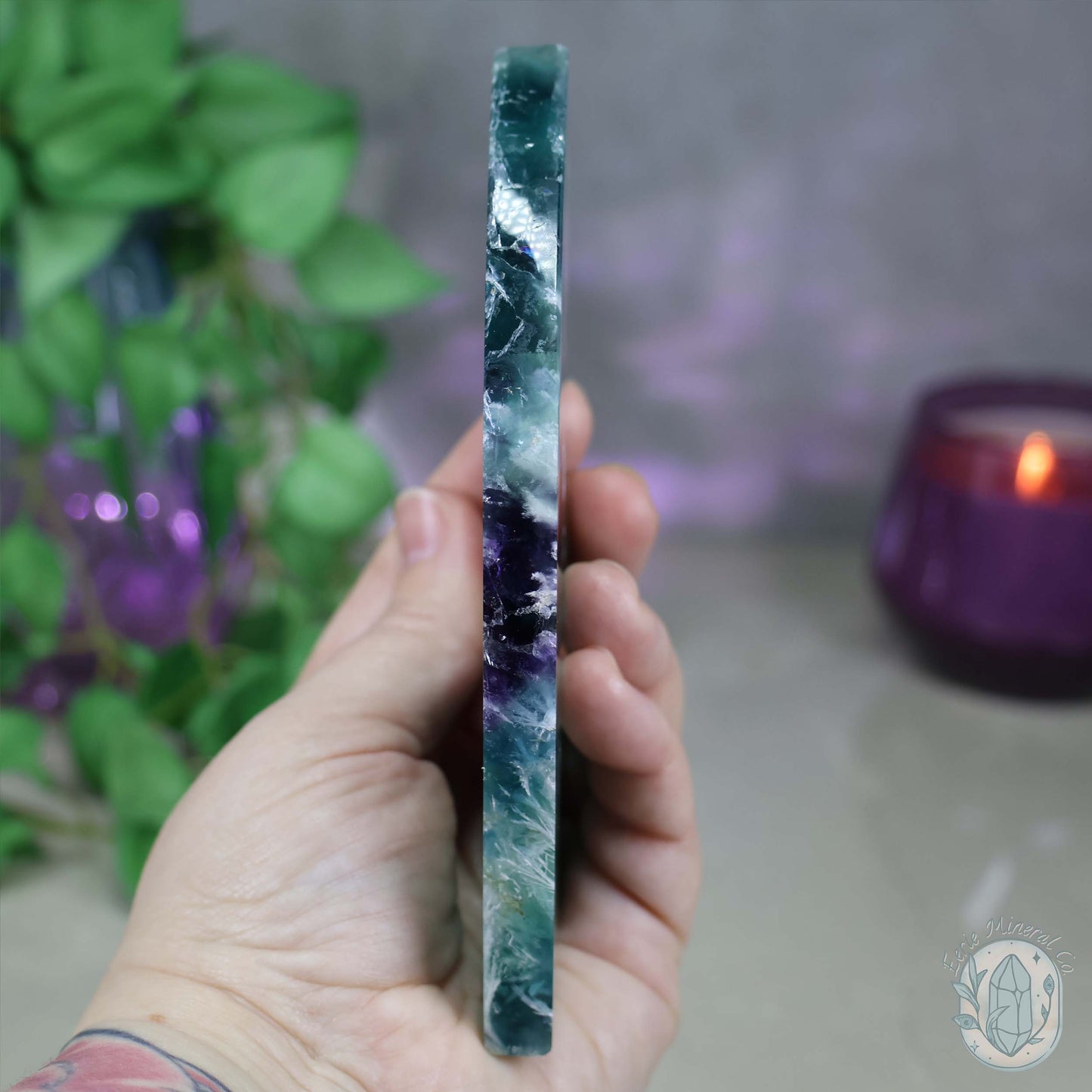  Polished Rainbow Feather Snowflake Fluorite Slab