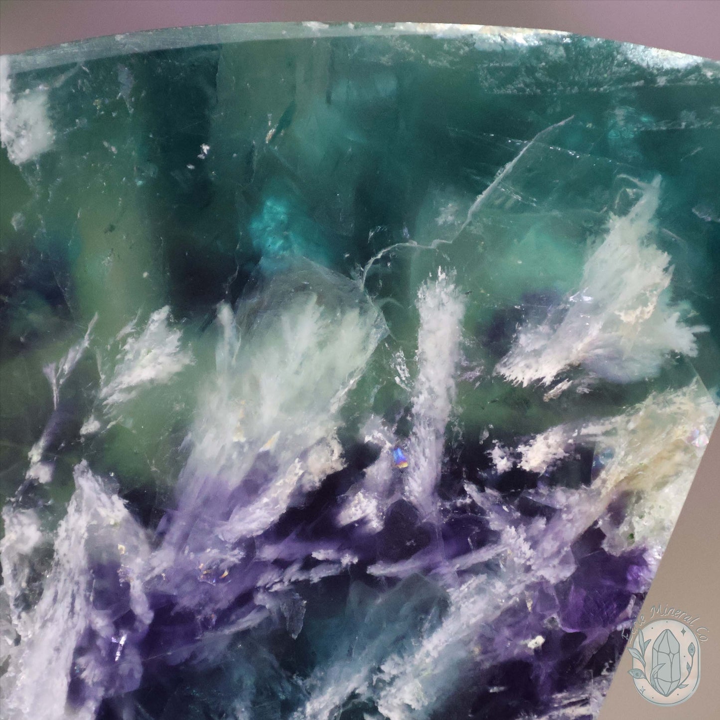  Polished Rainbow Feather Snowflake Fluorite Slab